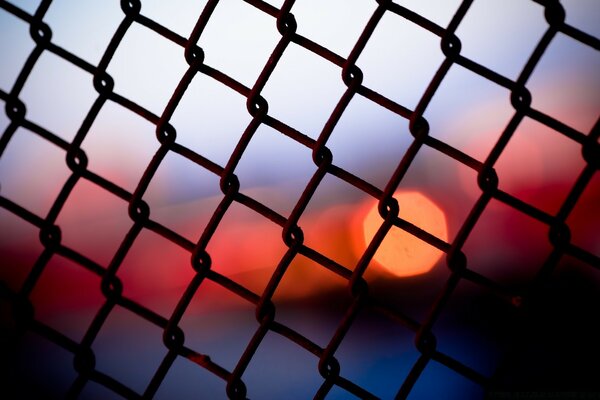 There are red blurred lights on a blue background behind the fence net