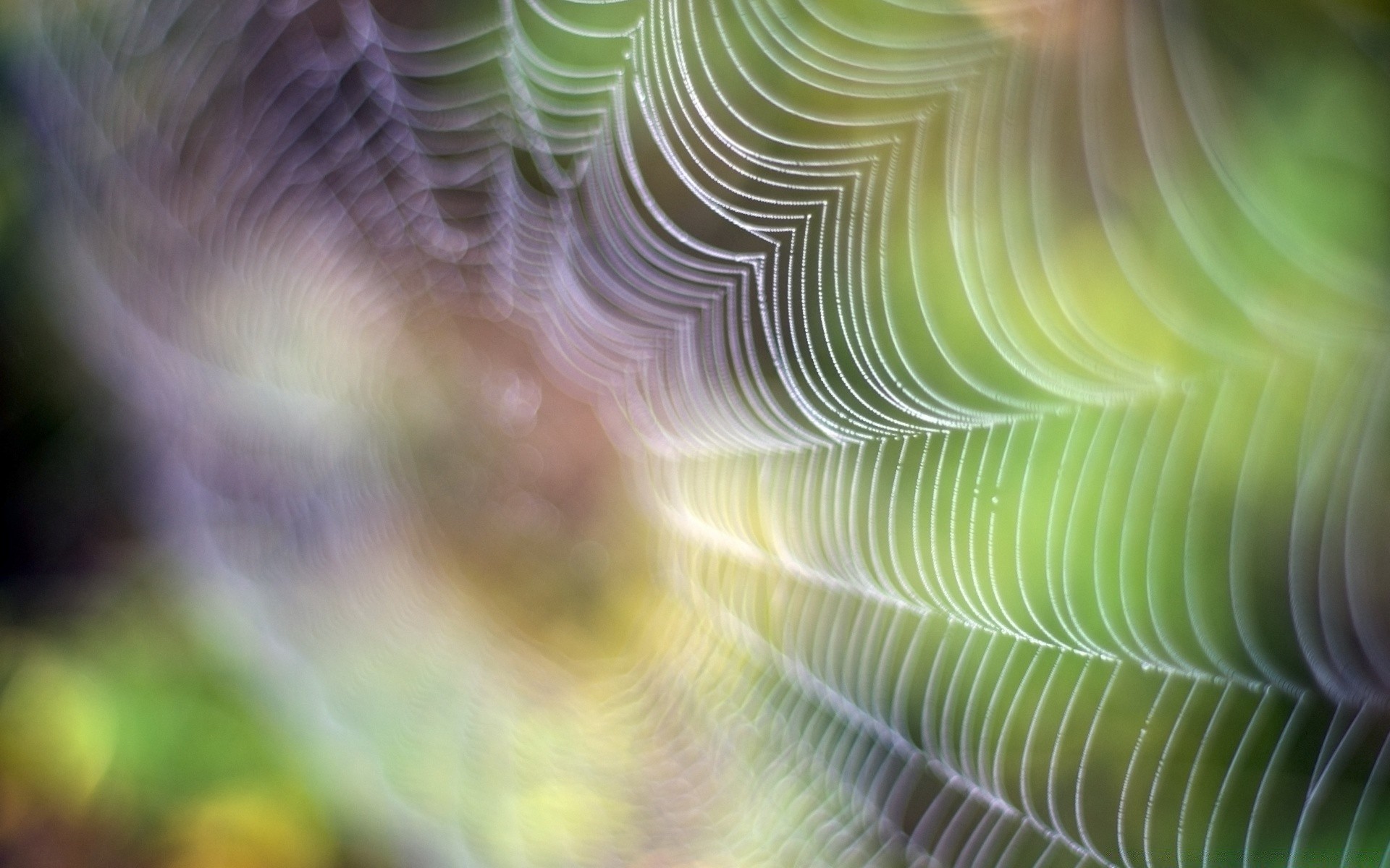 bokeh soyut bulanıklık masaüstü doku renk tasarım desen ışık sanat parlak arka plan doğa