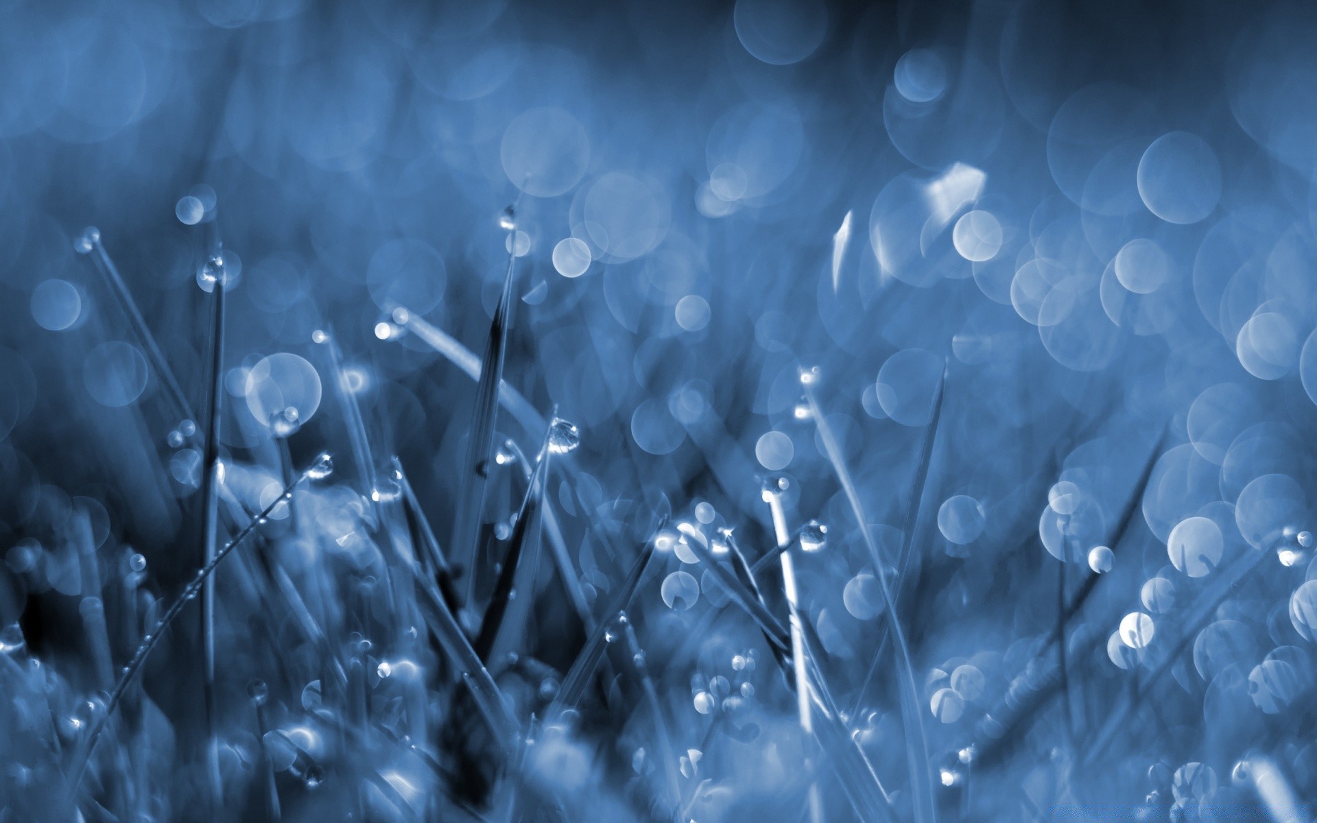 bokeh rain light abstract wet desktop shining drop water christmas bright dew blur color luminescence texture