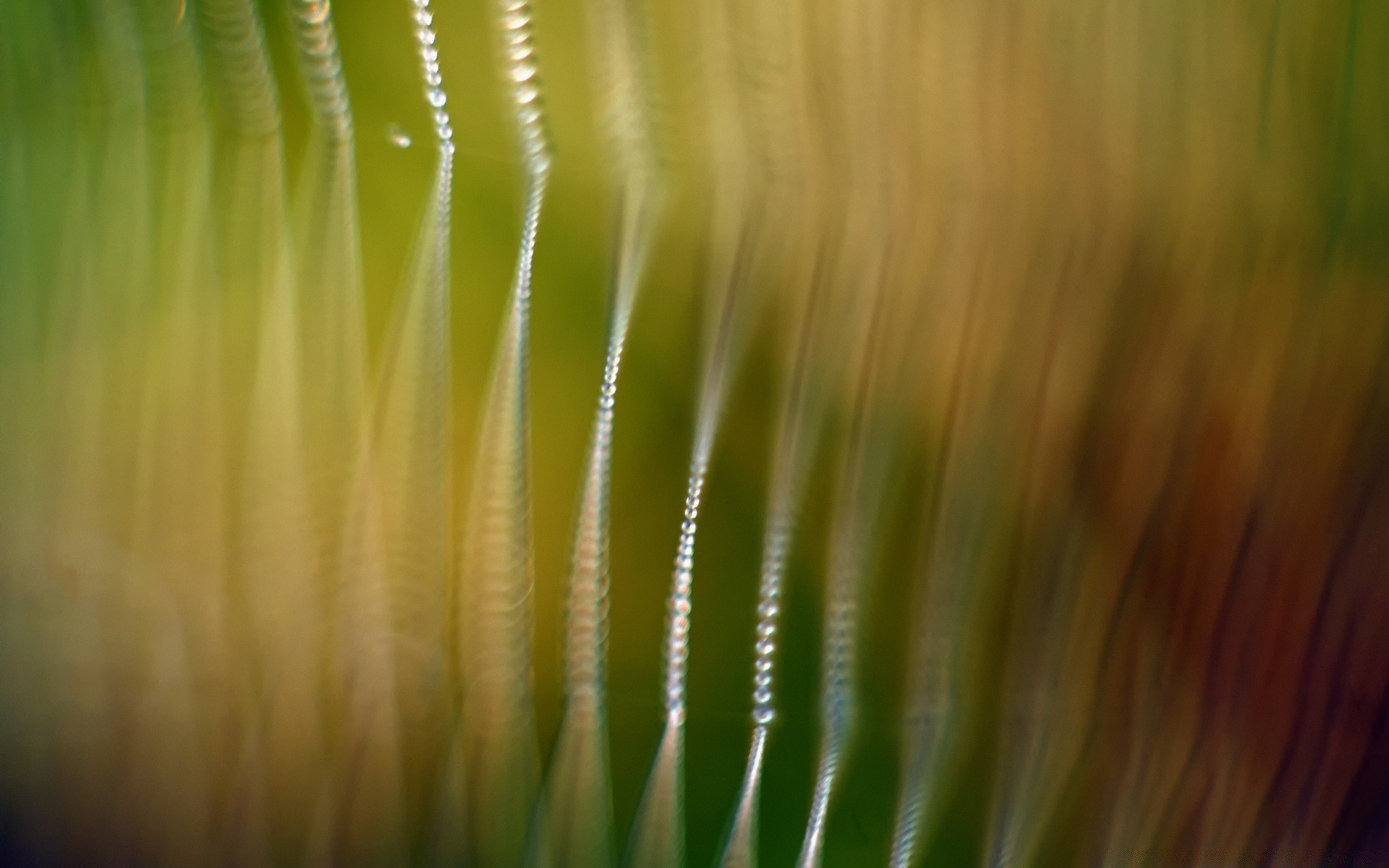 bokeh soyut bulanıklık sanat ışık doku duvar kağıdı sanatsal arka plan tasarım grafik desen masaüstü renk ışıldama illüstrasyon doğa fütüristik