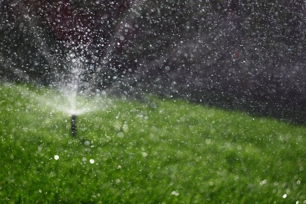 The green grass is watered by water