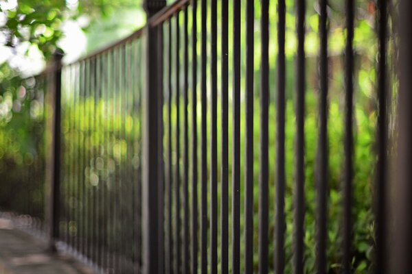 Metal fences bokeh