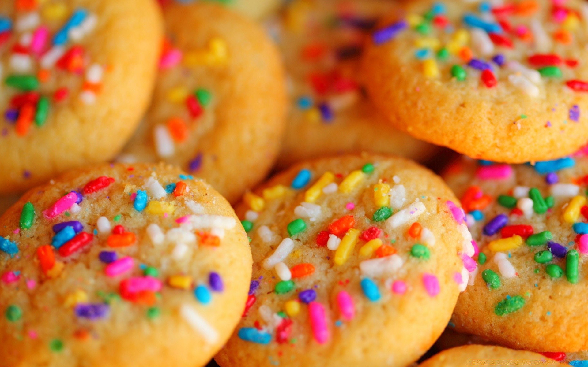 bright colors candy sugar sprinkles delicious traditional cookie food homemade cake sweet chocolate christmas confection celebration easter baking confetti doughnut party