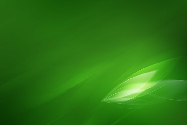 Couleurs floues vert vif