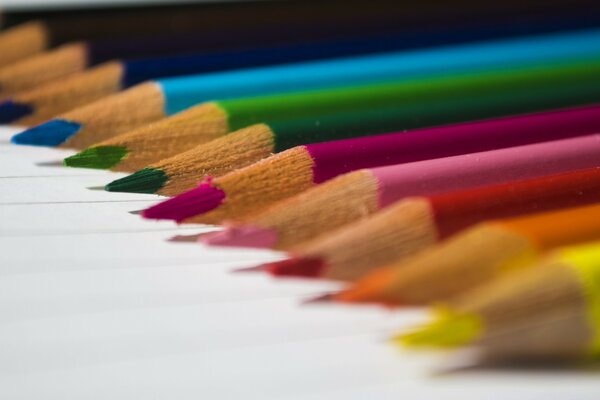 Lápices de colores en una hoja blanca