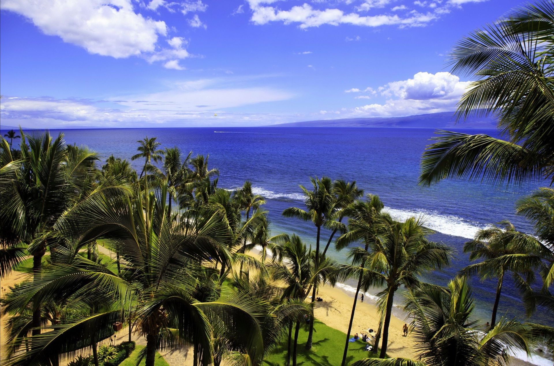 meer und ozean palmen tropisch strand exotisch meer kokosnuss insel sand resort ozean reisen urlaub paradies idylle sommer entspannung baum wasser türkis