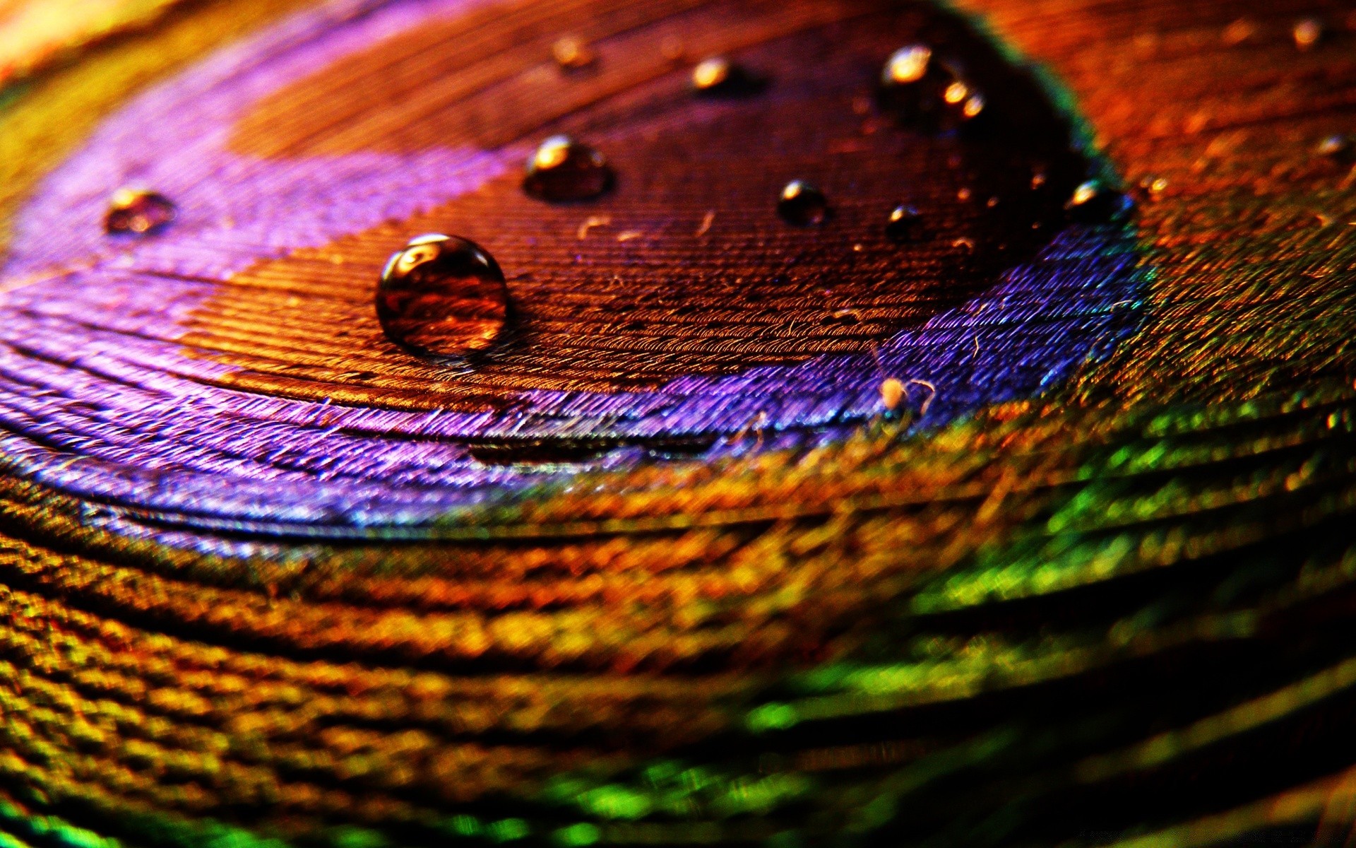 bright colors round color abstract pattern texture desktop bright reflection nature design drop rainbow light water wet rain shining