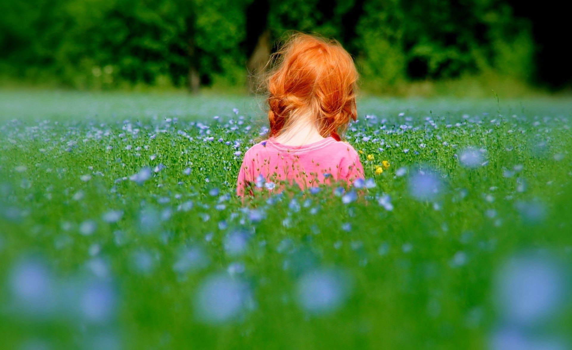 crianças na natureza grama natureza verão feno ao ar livre flor pouco criança parque