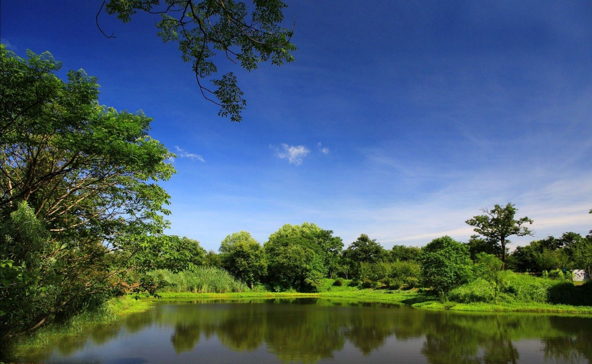 parks tree nature lake landscape water outdoors reflection wood sky summer river pool rural idyllic leaf composure scenic grass placid