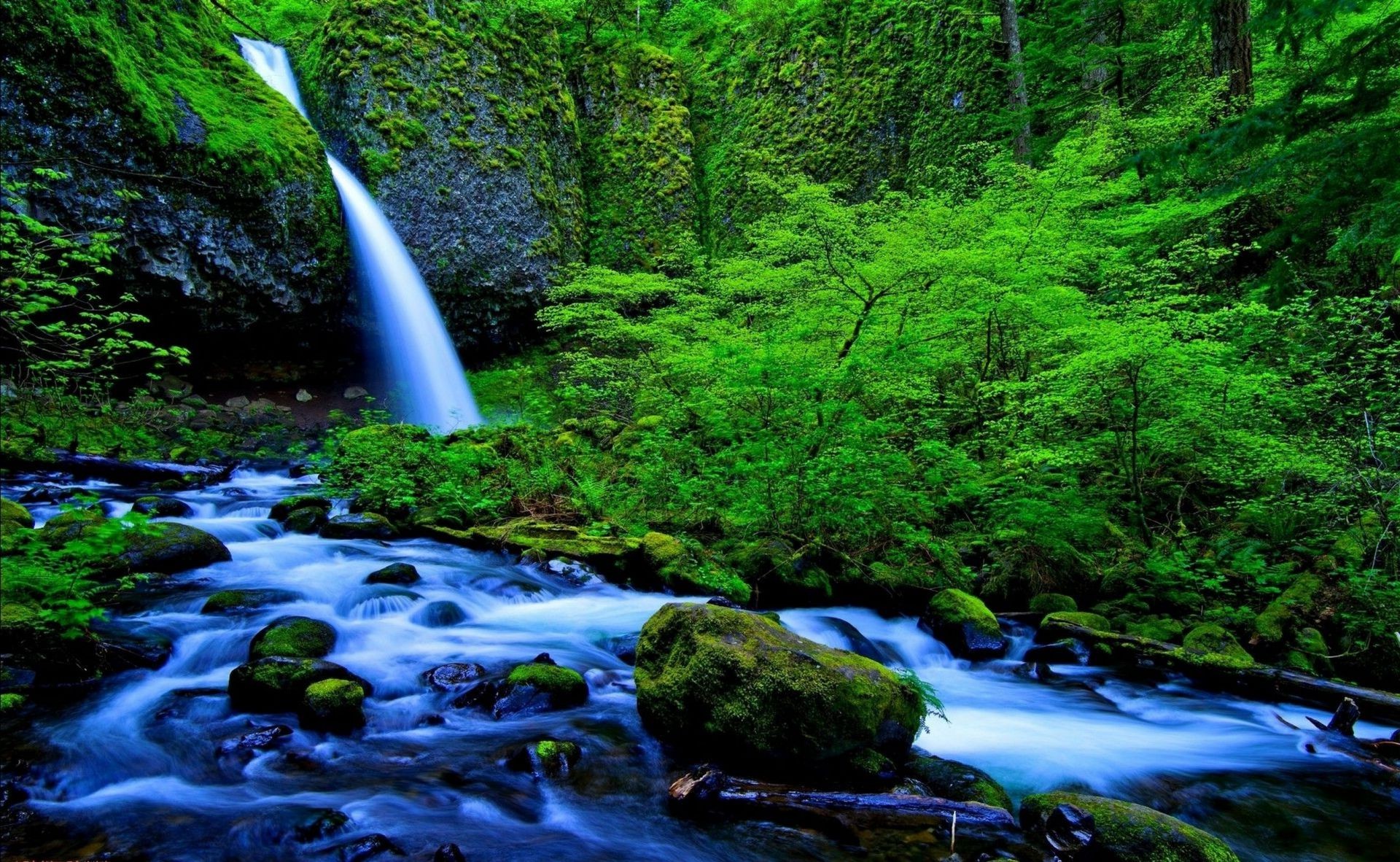 cascate acqua cascata fiume legno natura flusso roccia all aperto foglia cascata paesaggio creek purezza viaggi autunno muschio movimento montagna bagnato