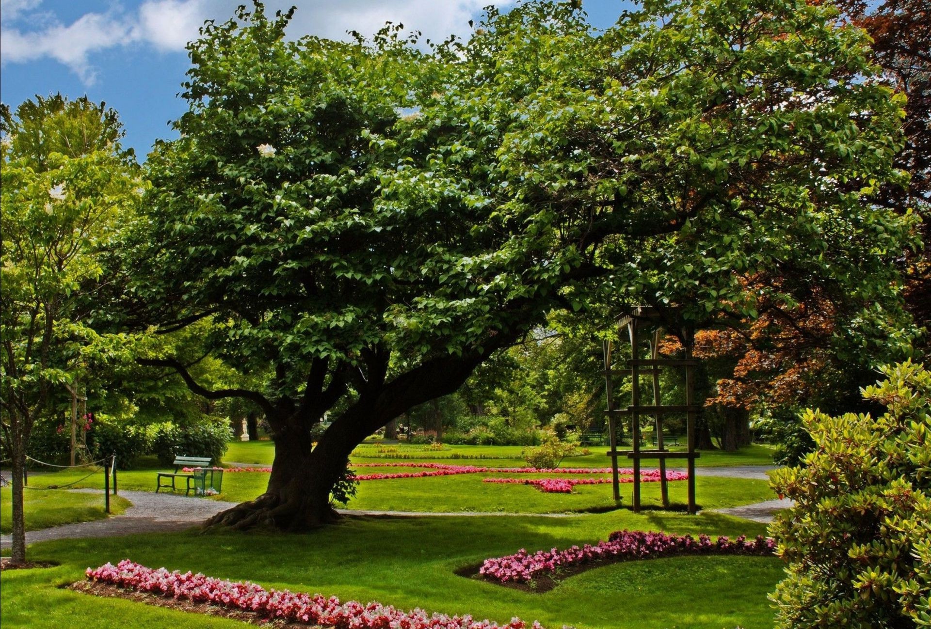 parks tree garden leaf park nature landscape grass outdoors lawn flower summer flora wood bench season environment lush fair weather scenic