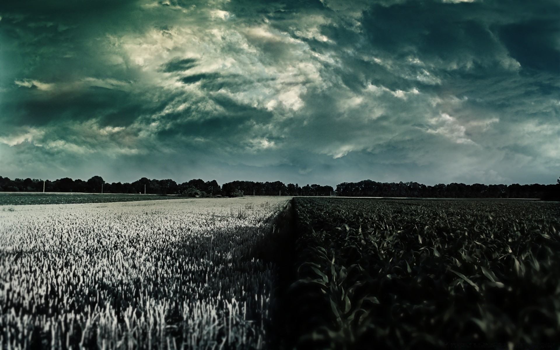 création paysage terres cultivées nature à l extérieur agriculture ciel tempête ferme