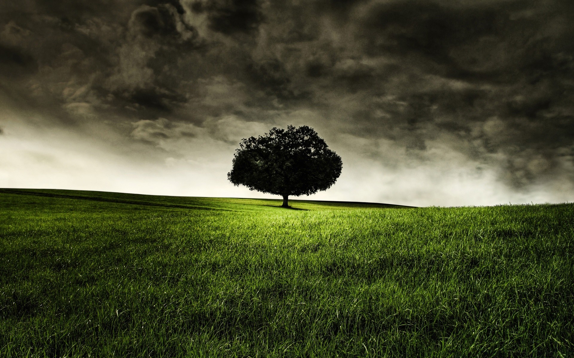 creative landscape storm grass sky nature tree field weather rain dawn cloud countryside light cloudy sunset hayfield