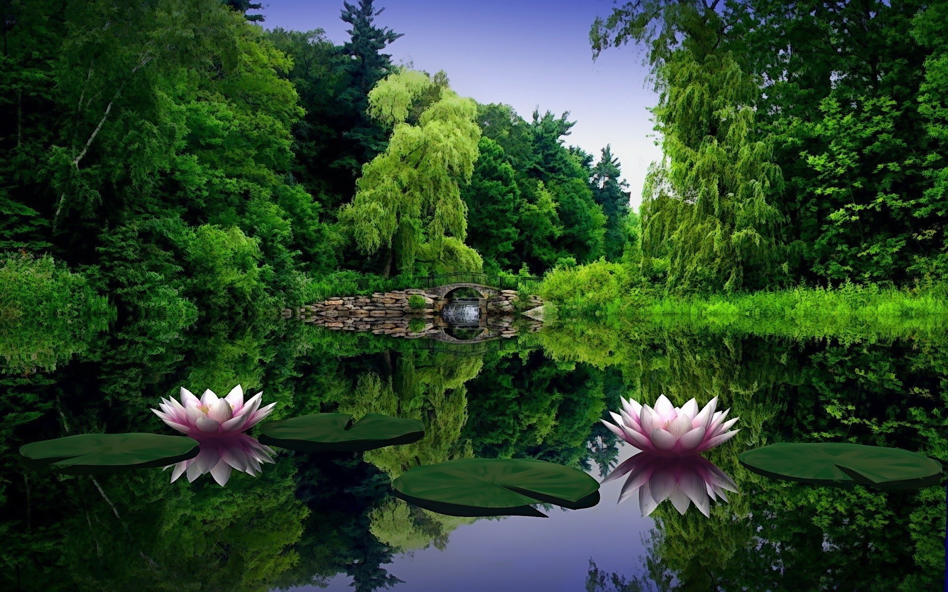 creativo naturaleza piscina jardín flora verano parque hoja flor hermoso medio ambiente lago paisaje temporada mundo agua zen árbol al aire libre