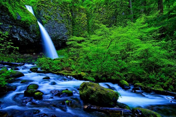 Natur Wasserfall Wald Fluss