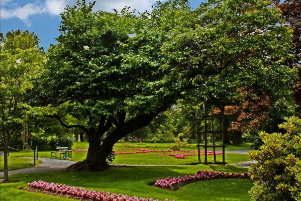 Ein Blumenbeet und ein großer Baum im Park