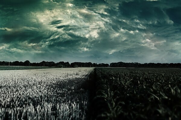 Düstere Feldlandschaft und Himmel