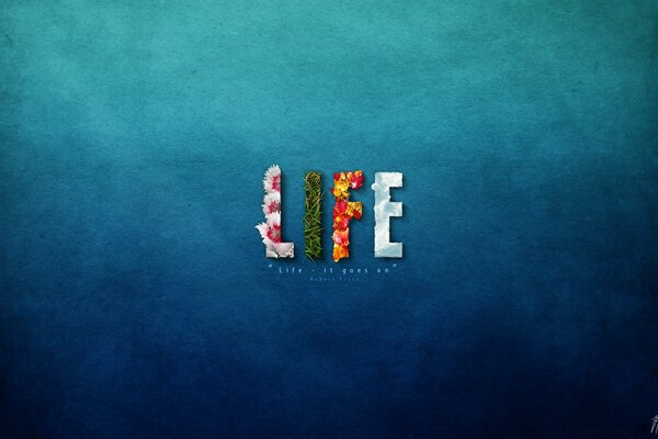 The word life in English is written on a blue background