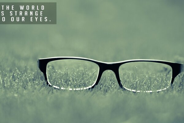 Glasses are lying on the grass