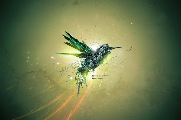 Creative Green Bird