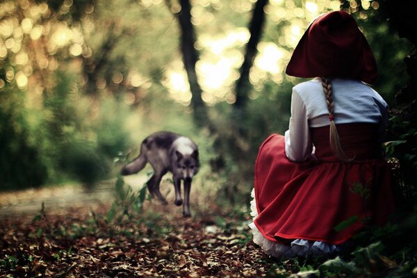 Little Red Riding Hood met the wolf