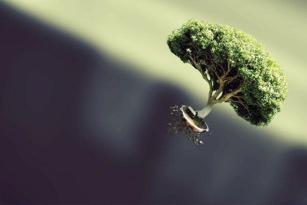 A green tree floating in zero gravity