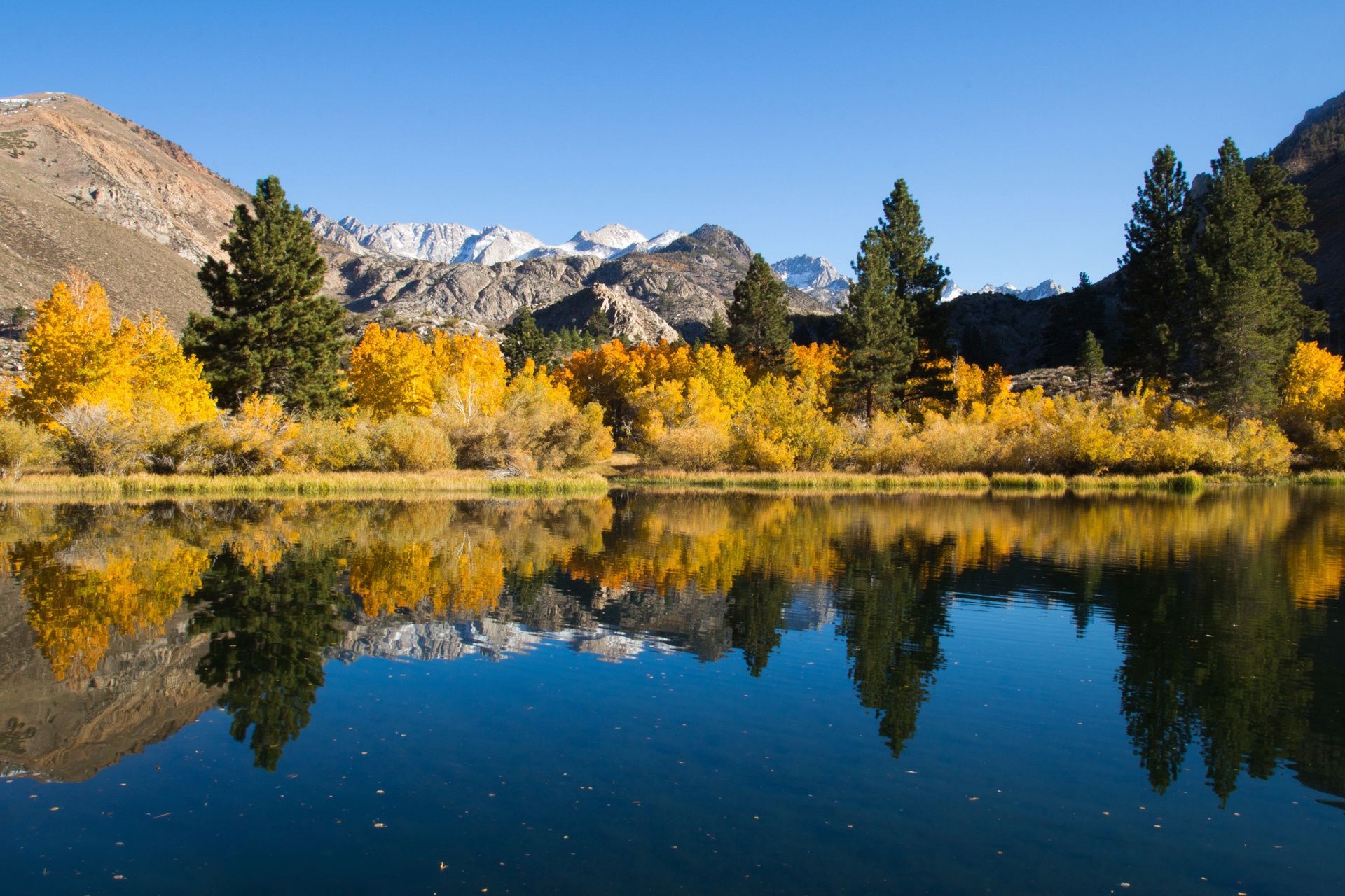 montañas lago paisaje otoño escénico madera árbol agua reflexión naturaleza al aire libre luz del día montañas río cielo paisaje hoja