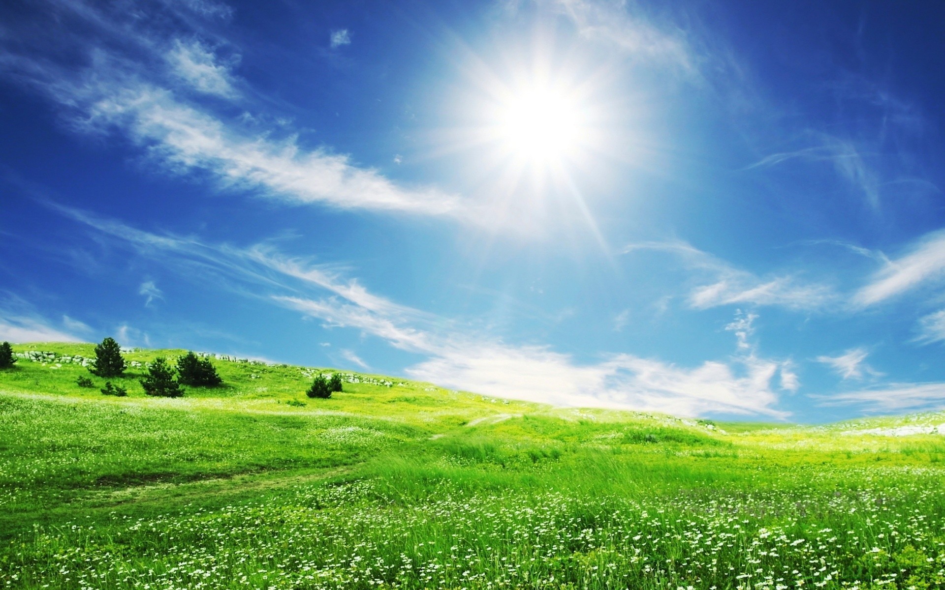 creative grass hayfield field nature landscape rural sun fair weather pasture lawn horizon summer sky countryside soil farm cloud scene bright idyllic