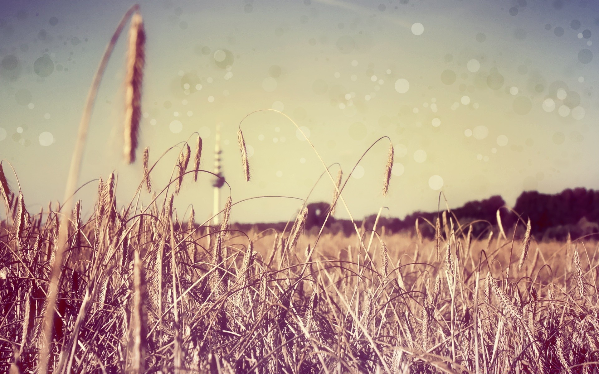 kreativ feld gras heu himmel flocken des ländlichen bauernhof sommer weide weizen natur sonne landschaft mais landschaft landwirtschaft ernte land gold stroh