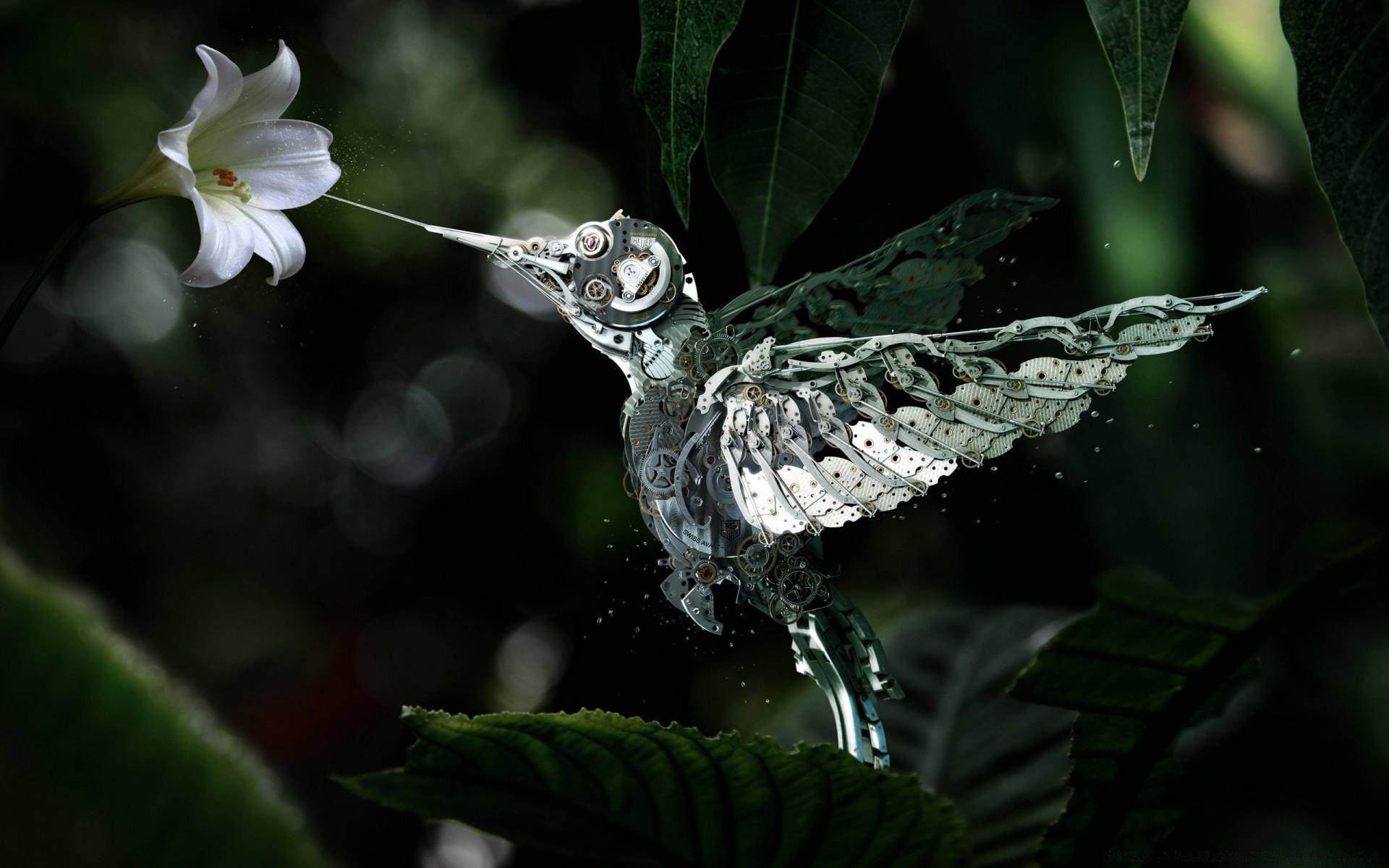 kreativ natur blatt im freien garten flora tierwelt schließen vogel wild tropisch