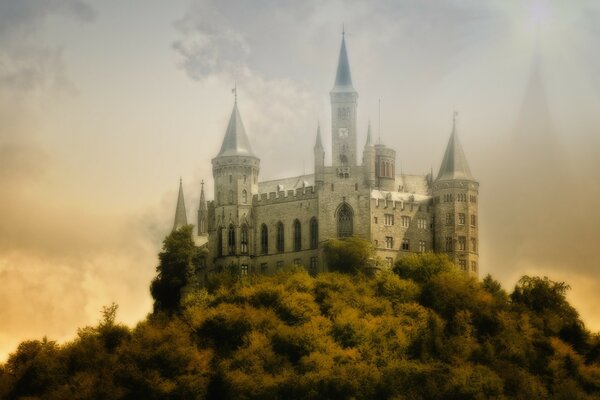 An ancient castle in the middle of a forest thicket