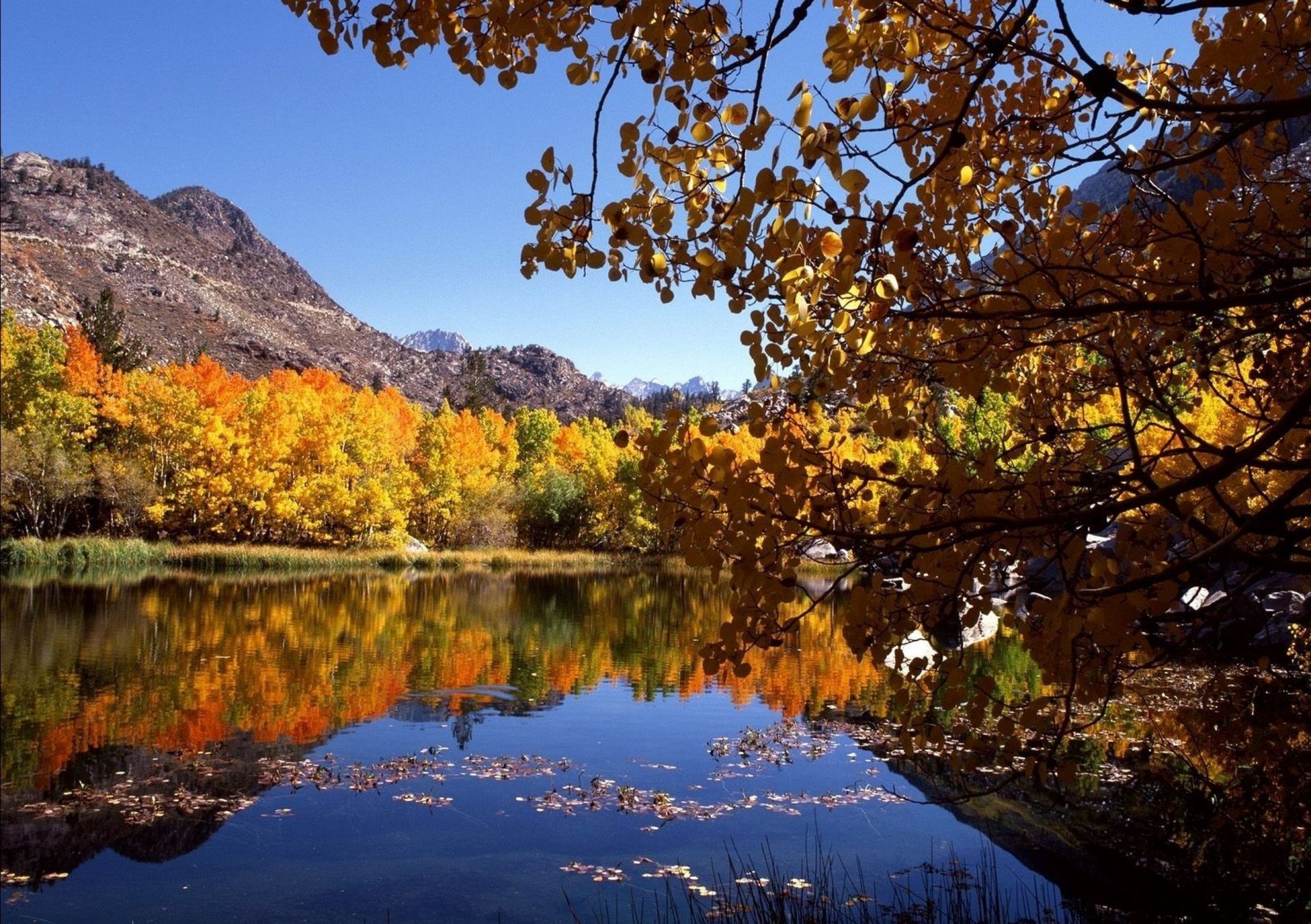 mountains fall water nature landscape tree lake leaf outdoors wood scenic reflection river maple season gold park scenery sky