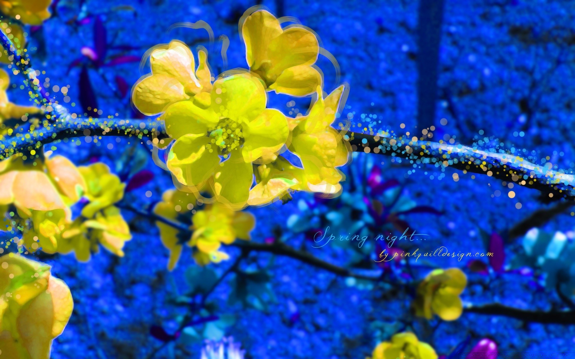 creative nature flower flora color season bright desktop beautiful garden leaf blooming tree close-up outdoors growth floral light summer