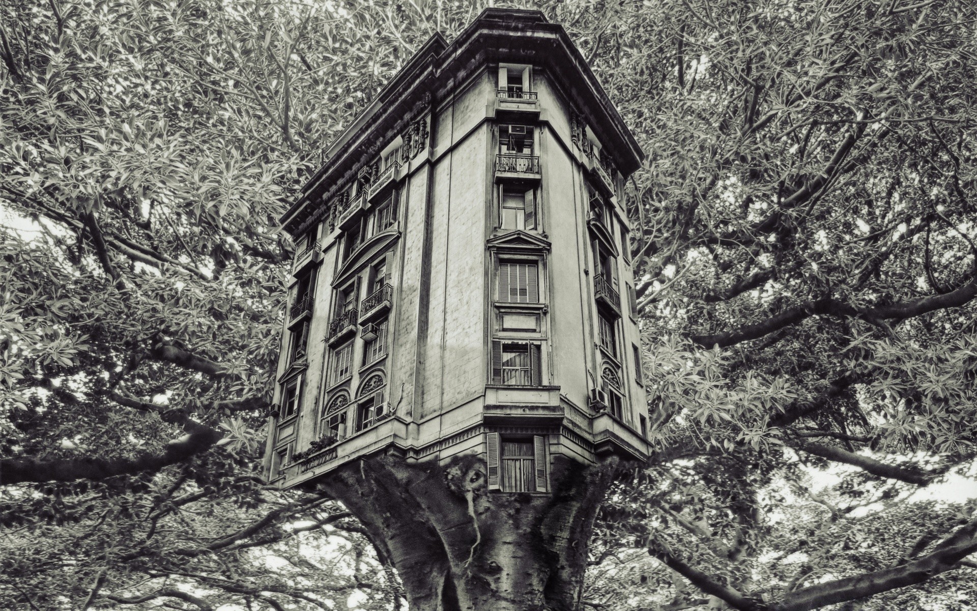 creative old building architecture tree wood travel vintage outdoors ancient house street