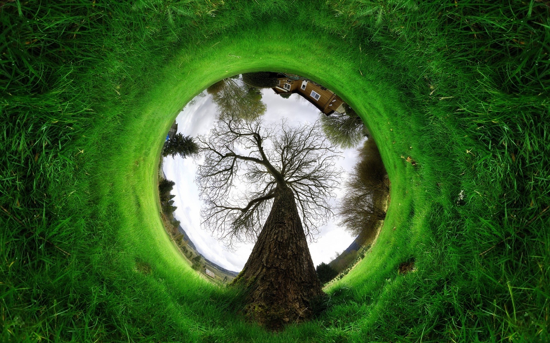 criativo grama natureza meio ambiente gramado paisagem em forma de bola ecologia ao ar livre verão folha espetáculo campo parque feno flora solo