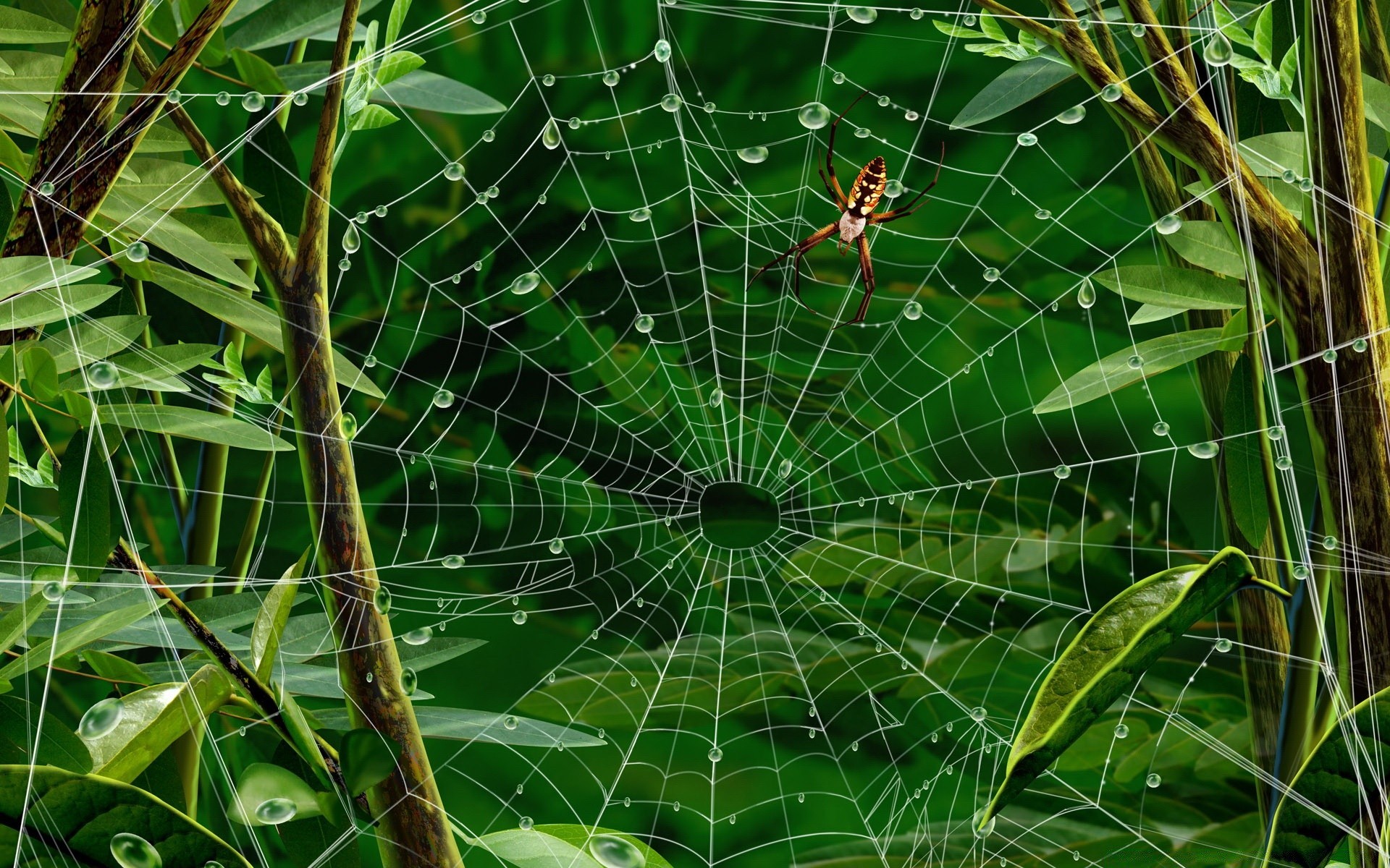 criativo folha natureza flora área de trabalho padrão jardim