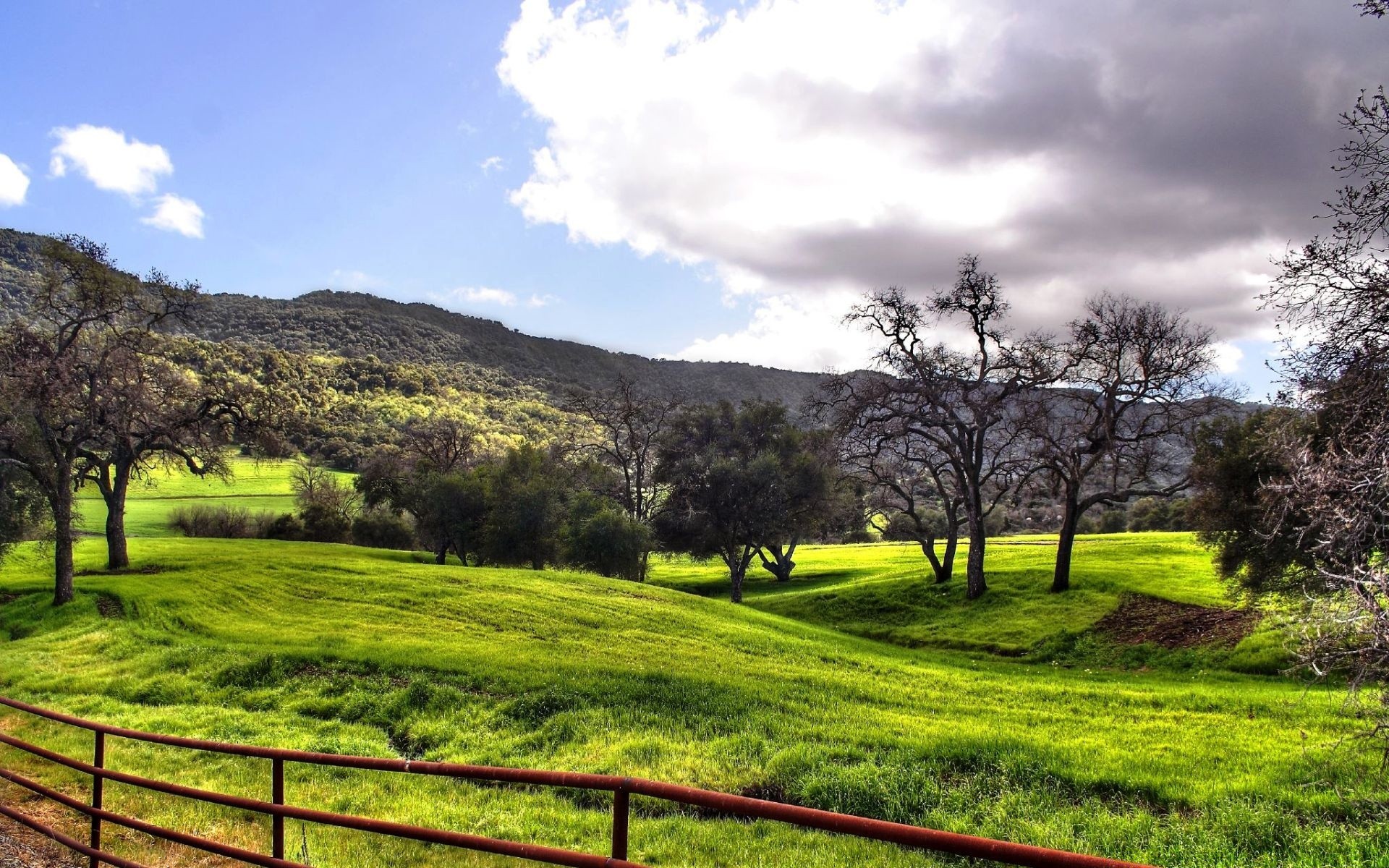 creativo árbol paisaje naturaleza hierba rural heno campo madera cielo campo verano flora al aire libre espectáculo escénico colina temporada paisaje medio ambiente