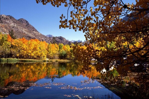 Herbst Bäume gelbe Blätter Fluss Berge