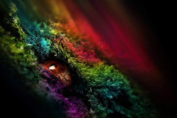 Stylized open eye in rainbow grass