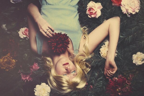 A girl with white hair sleeps in flowers