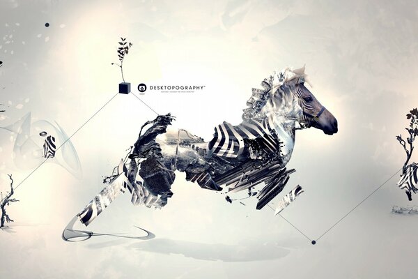 Zebra creativa in movimento