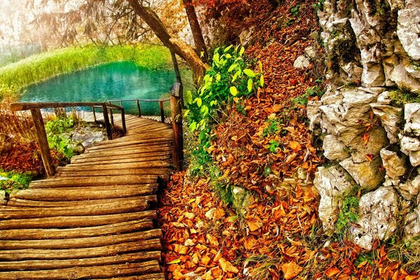 Wooden walkway with a bridge over the pond