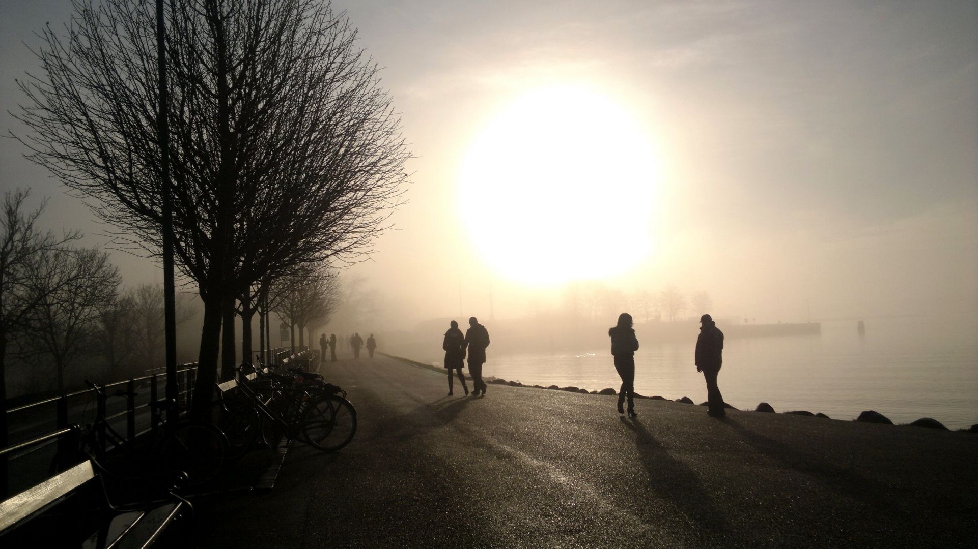 strada tramonto alba silhouette nebbia illuminato paesaggio sera sole luce nebbia crepuscolo albero strada cielo tempo uomo