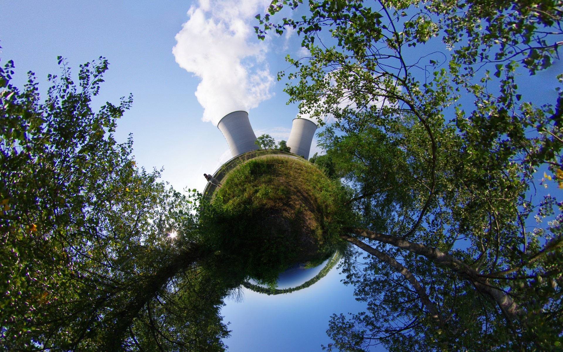 creativo albero cielo natura parco all aperto ambiente paesaggio legno foglia luce del giorno flora estate bel tempo viaggi