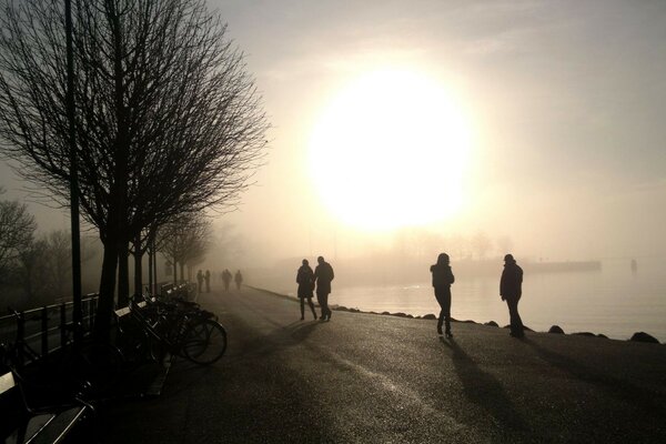 A foggy road stretching away into the distance