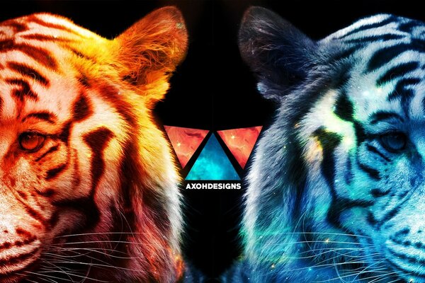 Multicolored tigers screensaver creative