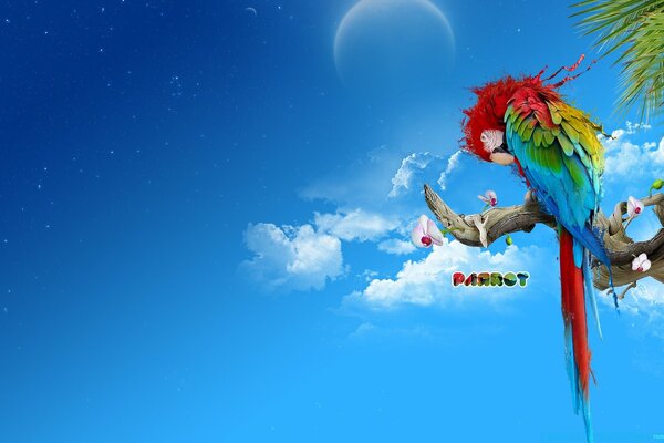 A bright multicolored parrot on a branch against a blue sky background