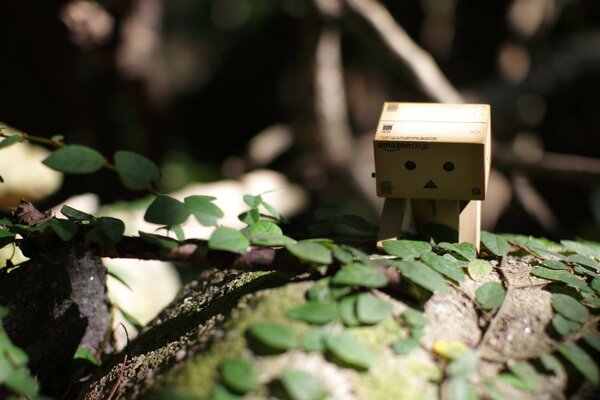 Cube créatif sur les feuilles assis