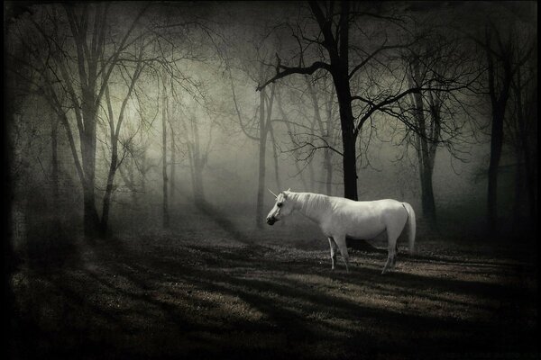 Unicorn in a fabulous winter forest