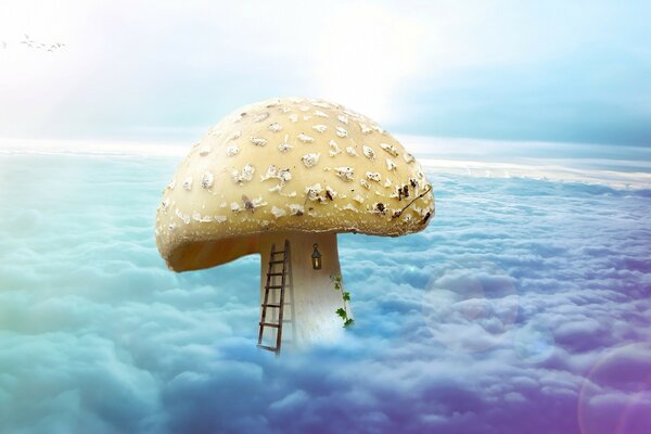 A huge mushroom has grown to the sky